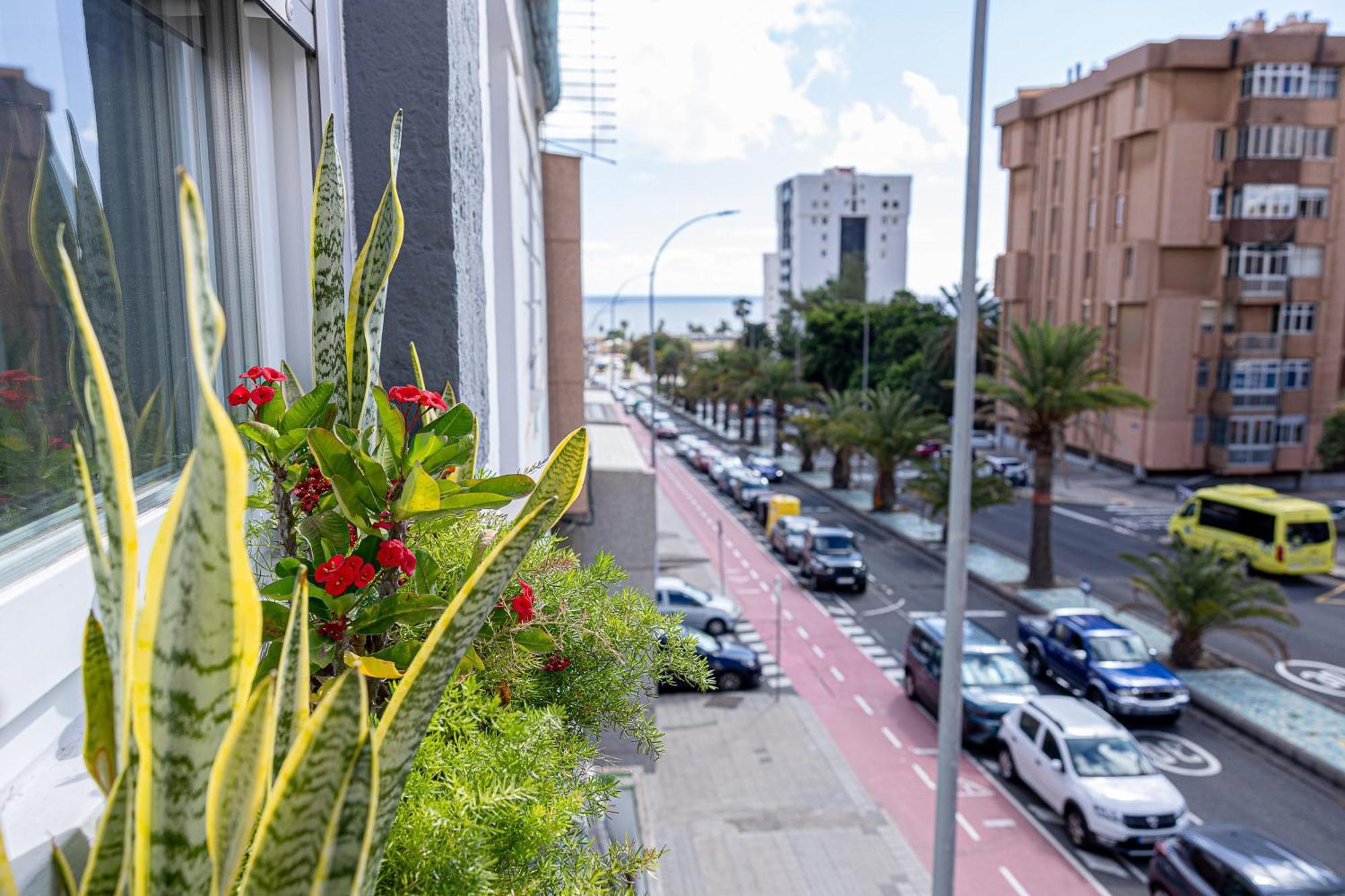 Bambu Suites Vegueta Alquiler Por Habitacion Las Palmas de Gran Canaria Exteriör bild