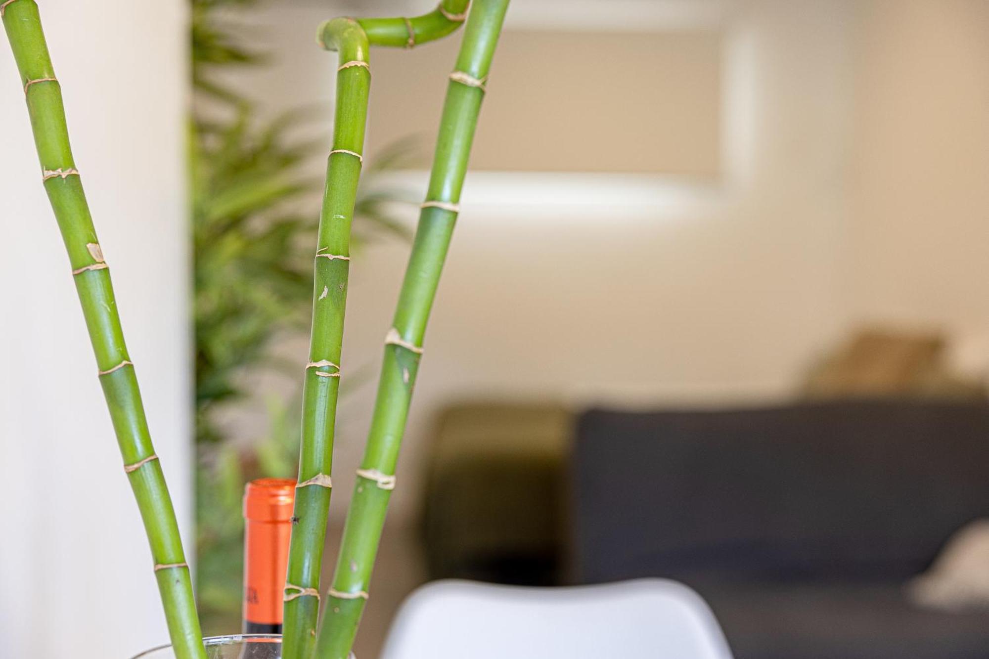 Bambu Suites Vegueta Alquiler Por Habitacion Las Palmas de Gran Canaria Exteriör bild