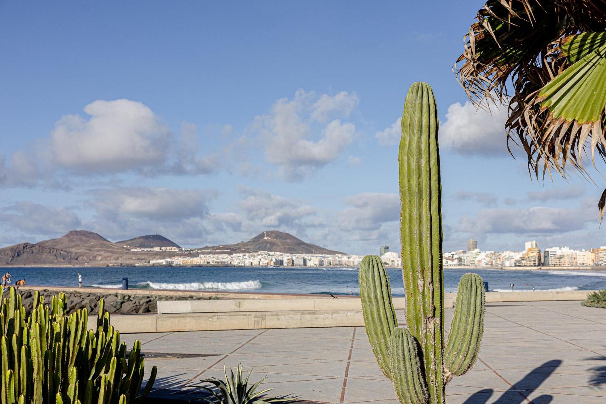 Bambu Suites Vegueta Alquiler Por Habitacion Las Palmas de Gran Canaria Exteriör bild