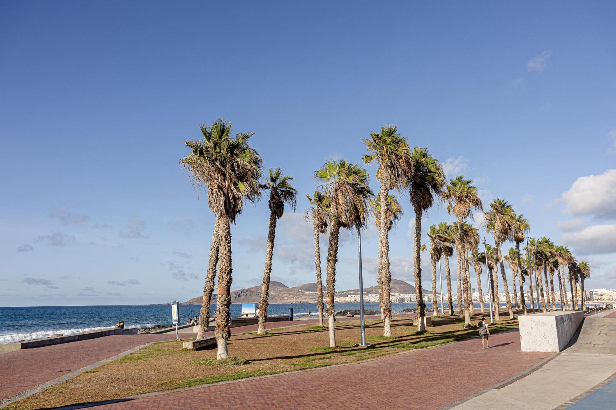 Bambu Suites Vegueta Alquiler Por Habitacion Las Palmas de Gran Canaria Exteriör bild